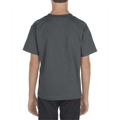 Picture of Youth 6.0 oz., 100% Cotton T-Shirt
