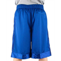 Picture of Adult Mesh Shorts