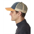 Picture of Distressed Ollie Cap