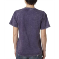 Picture of Adult 5.4 oz., 100% Cotton Vintage Wash T-Shirt