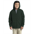 Picture of Youth Zip Hoody